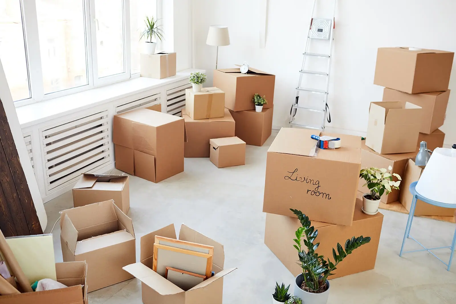 A room full of moving boxes